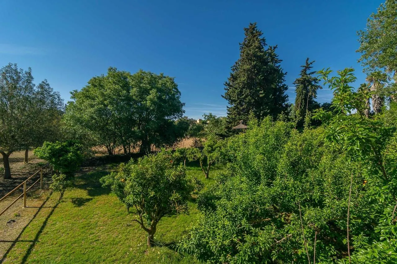 Sa Teulera Villa Sencelles 0*,